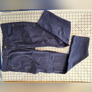 AG Adriano Goldschmied The Stevie Slim Straight Ankle Blue Pants